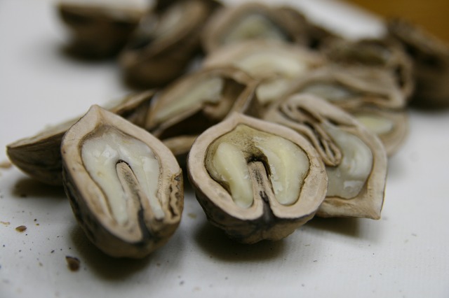 ファイル 76-4.jpg