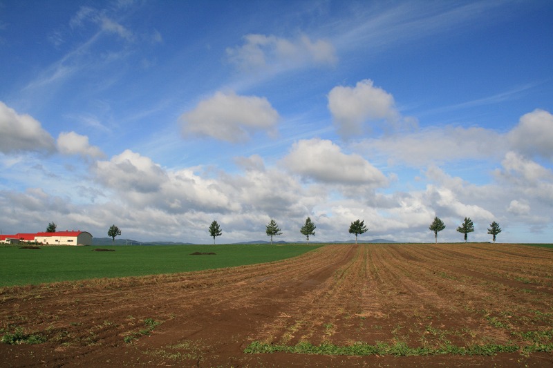 ファイル 8-1.jpg