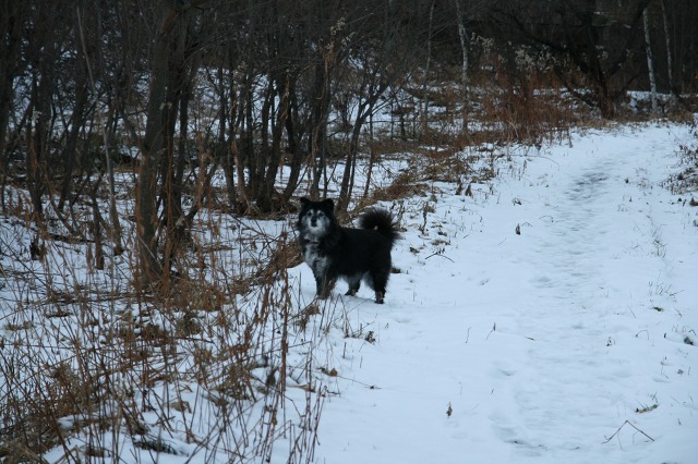 ファイル 80-3.jpg