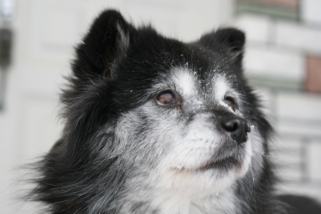 ファイル 86-1.jpg