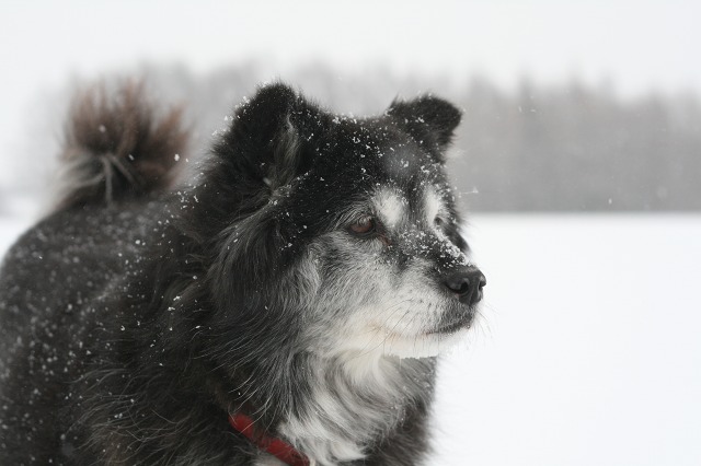 ファイル 86-2.jpg