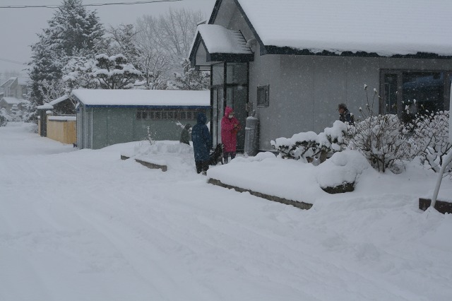 ファイル 87-3.jpg