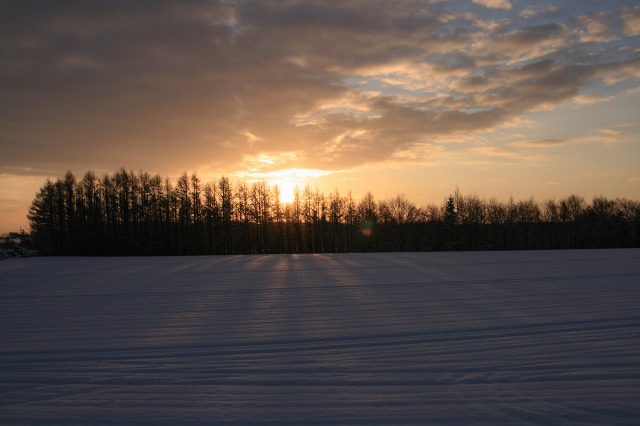 ファイル 88-1.jpg