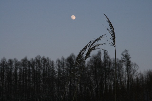 ファイル 89-2.jpg