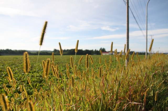 ファイル 9-1.jpg