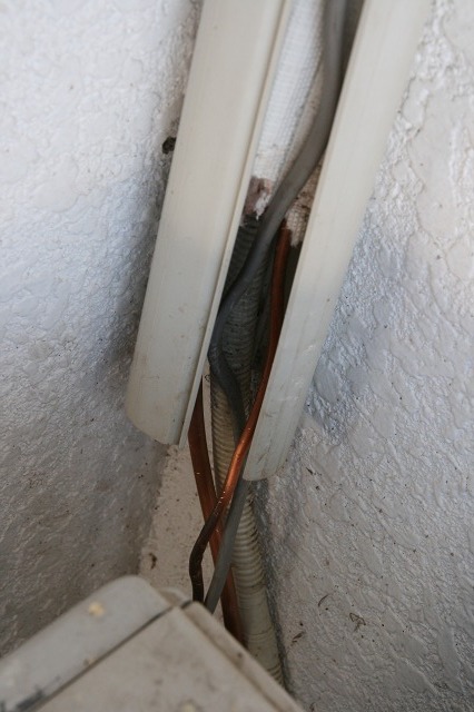 ファイル 91-1.jpg