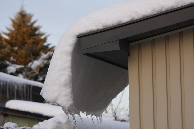 ファイル 92-1.jpg