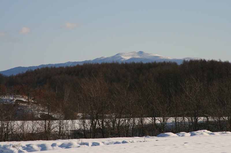 ファイル 99-1.jpg