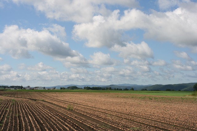 ファイル 1-1.jpg