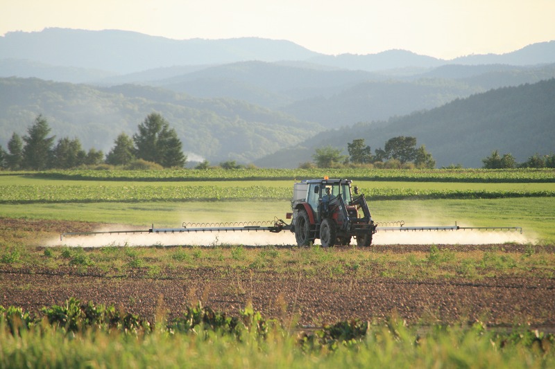 ファイル 1-2.jpg