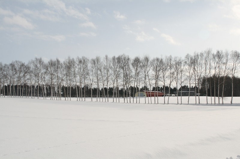 ファイル 101-4.jpg