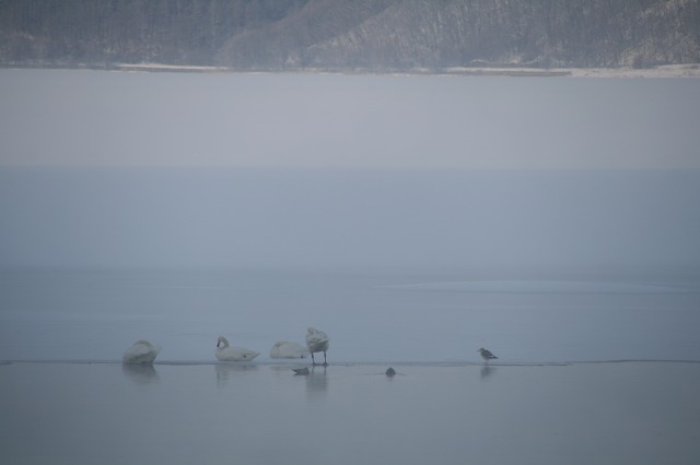 ファイル 102-2.jpg