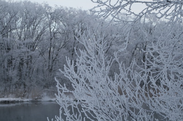 ファイル 102-3.jpg