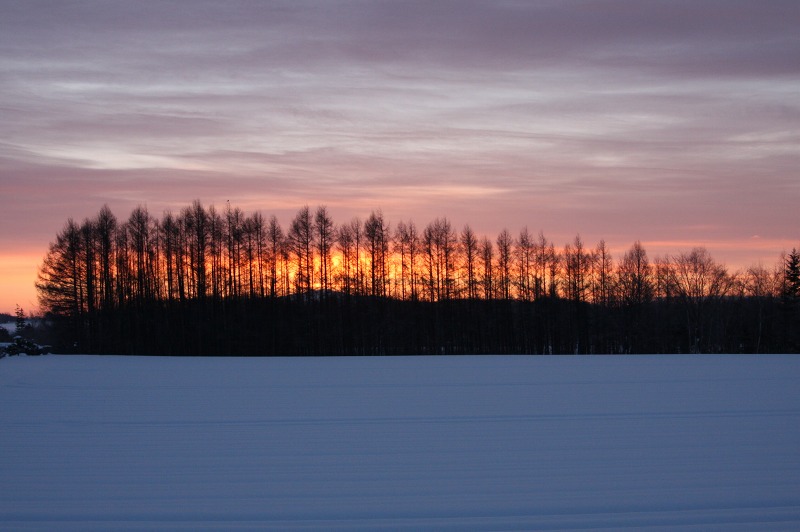 ファイル 104-1.jpg