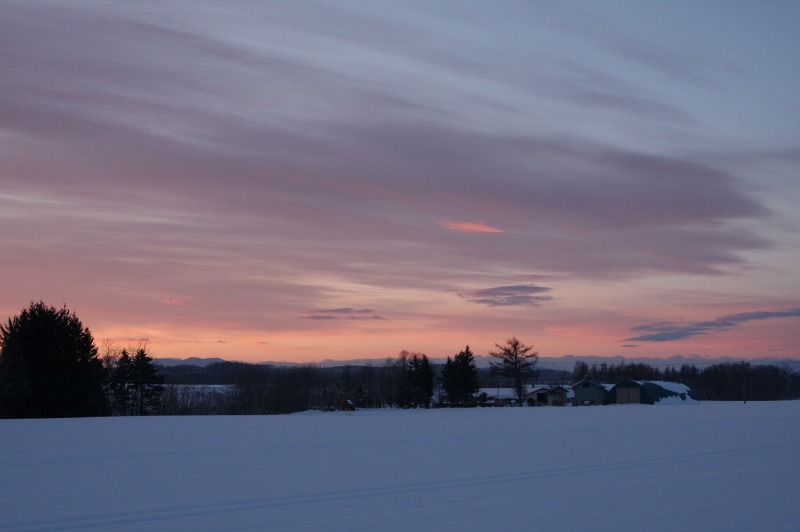 ファイル 104-2.jpg