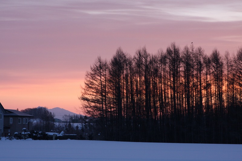 ファイル 104-3.jpg