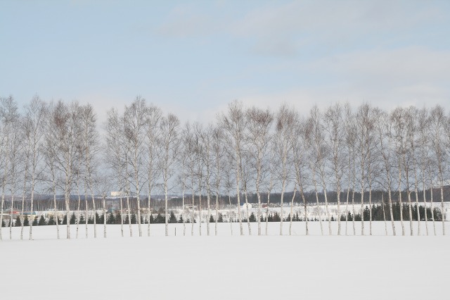 ファイル 107-3.jpg