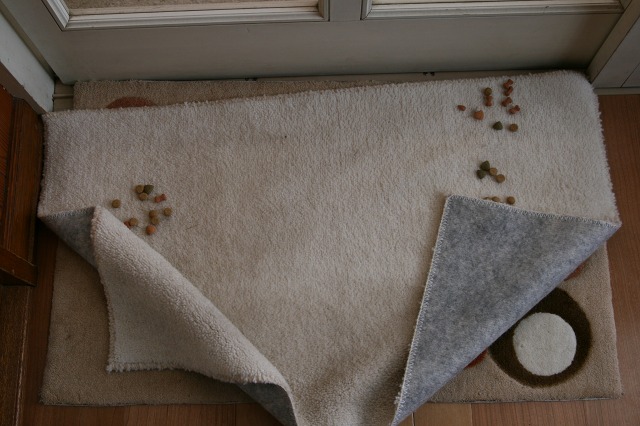 ファイル 107-4.jpg