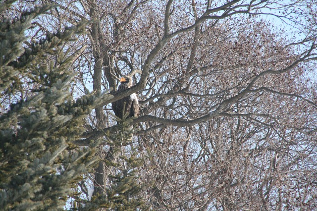 ファイル 108-1.jpg