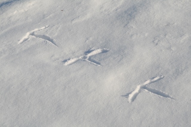 ファイル 108-3.jpg