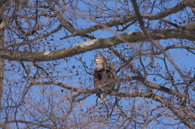 ファイル 108-4.jpg