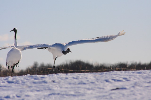 ファイル 109-2.jpg