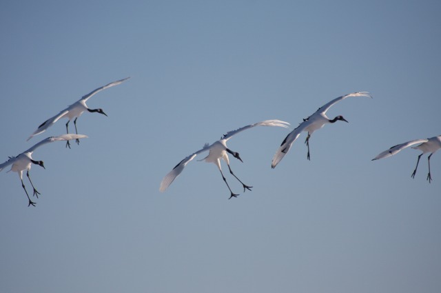 ファイル 109-4.jpg