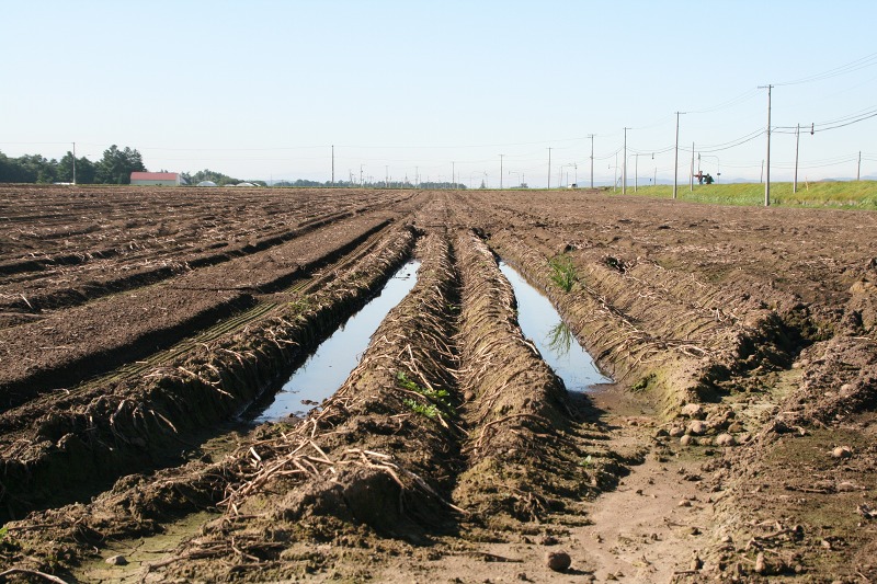 ファイル 11-4.jpg