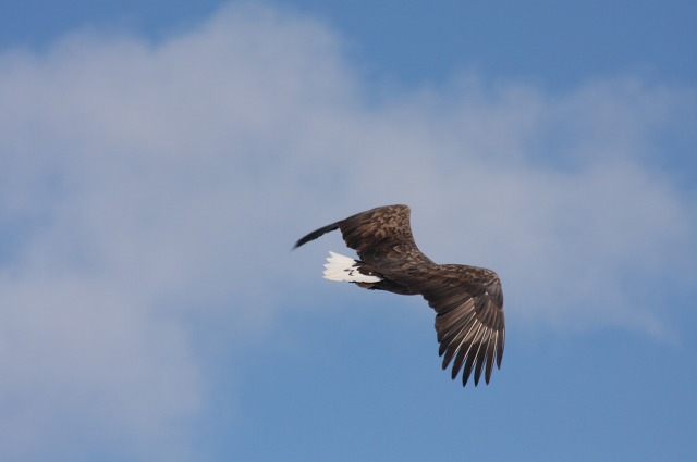 ファイル 111-2.jpg