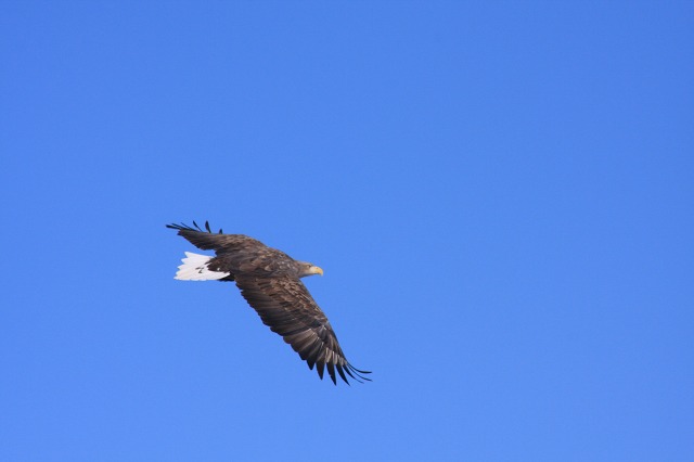 ファイル 111-3.jpg