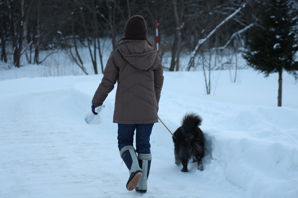 ファイル 113-3.jpg