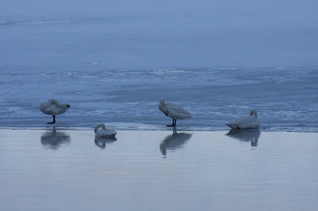 ファイル 116-1.jpg