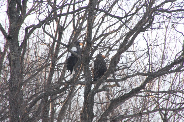 ファイル 117-5.jpg