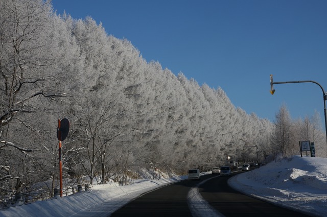 ファイル 119-1.jpg