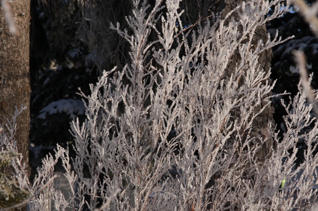 ファイル 119-3.jpg