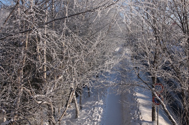 ファイル 119-4.jpg