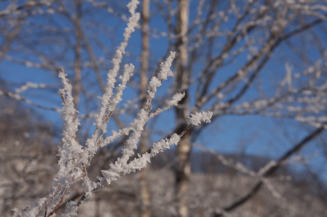 ファイル 119-5.jpg