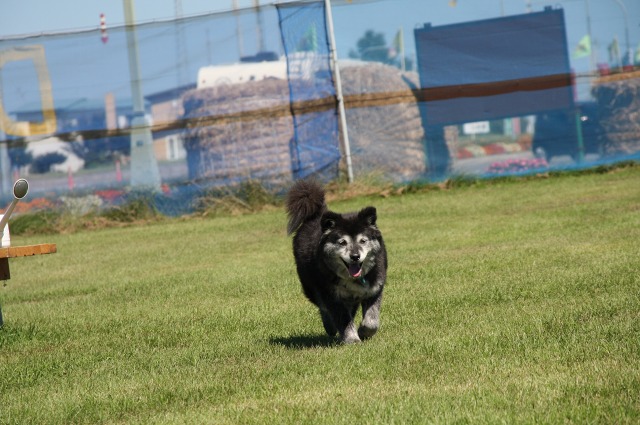 ファイル 12-4.jpg