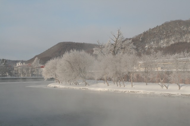 ファイル 121-1.jpg