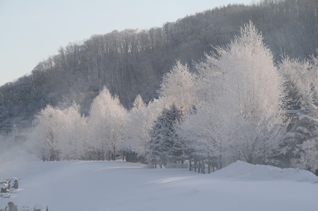 ファイル 121-3.jpg