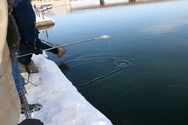 ファイル 121-5.jpg