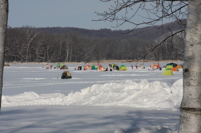 ファイル 122-1.jpg