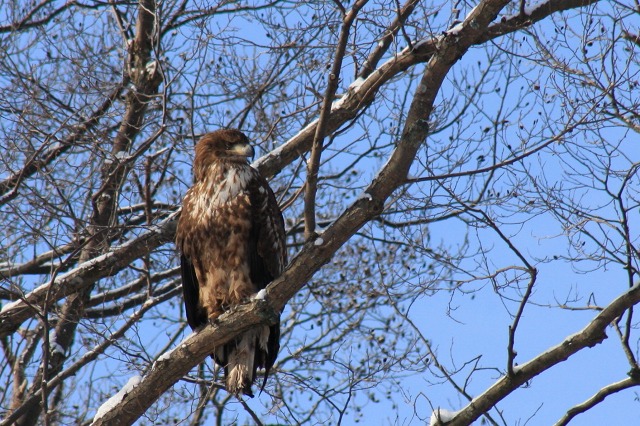 ファイル 122-5.jpg