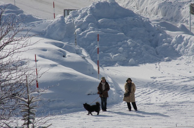 ファイル 124-4.jpg