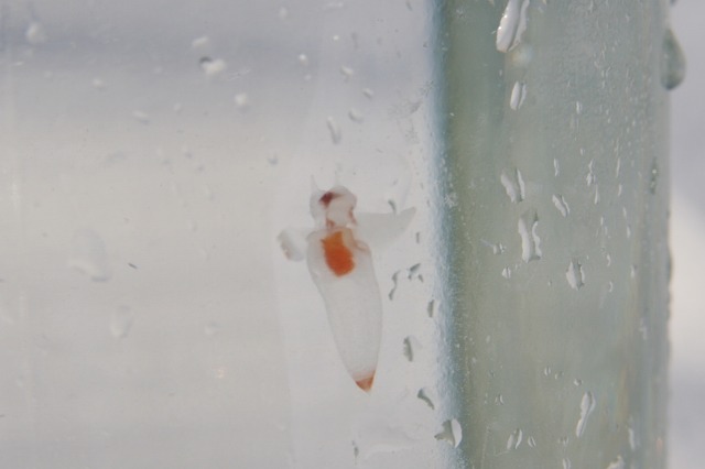 ファイル 125-5.jpg