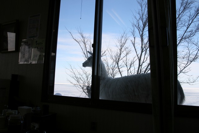 ファイル 127-3.jpg