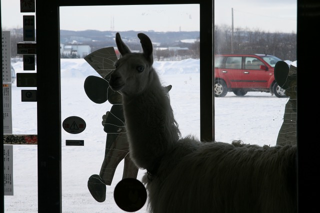 ファイル 127-4.jpg