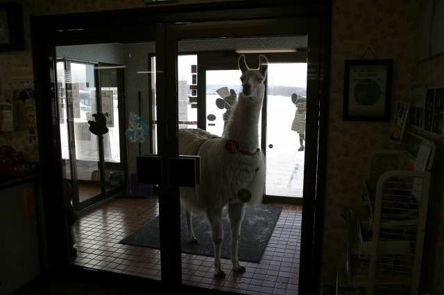 ファイル 127-5.jpg