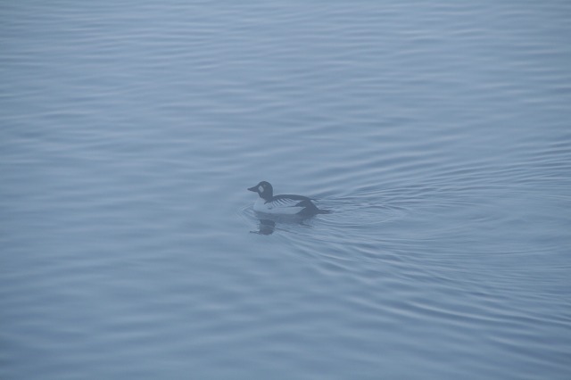 ファイル 128-2.jpg