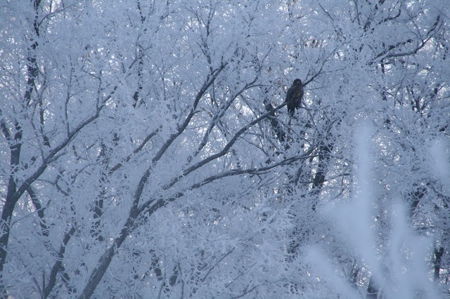 ファイル 128-4.jpg